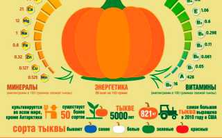 Тыква на гриле: вкусно и полезно