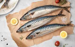 Как просто и вкусно сделать скумбрию на гриле