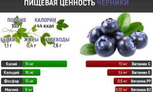 Способы сушки черники и правила её хранения
