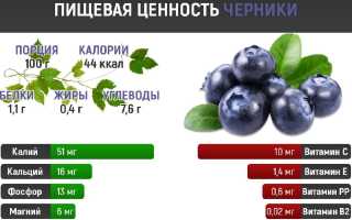 Способы сушки черники и правила её хранения