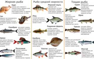 Рецепты жарки морского окуня на гриле