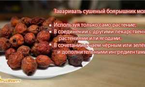 Полезные свойства боярышника, при каких заболеваниях применяют ягоды и их влияние на здоровье