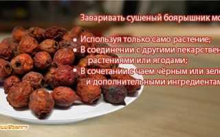 Полезные свойства боярышника, при каких заболеваниях применяют ягоды и их влияние на здоровье