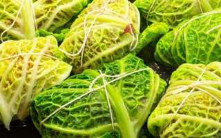 Савойская капуста — полезные свойства, лучшие сорта, вкус и применение в кулинарии