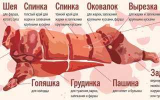 Горячее и холодное копчение свинины в домашних условиях
