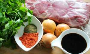 Приготовление сочного шашлыка в мультиварке