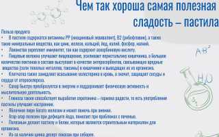 Домашняя пастила из дегидратора: как сделать полезный и вкусный продукт