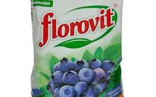 Полезное удобрение для голубики — Флоровит (Florovit) для вашего сада