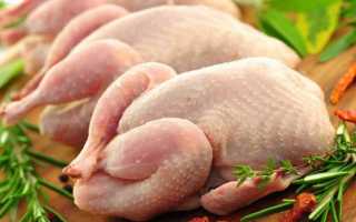 Вкусные и простые рецепты цыплёнка табака на мангале
