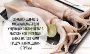 Вяленый кальмар своими руками