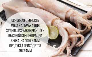 Вяленый кальмар своими руками