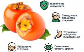 Вяленая хурма: способы выбора плода, рецепты приготовления и хранение