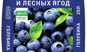 Обзор грунта для голубики 4 сезона от Лама Торф: характеристики и преимущества