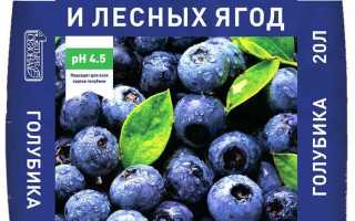 Обзор грунта для голубики 4 сезона от Лама Торф: характеристики и преимущества