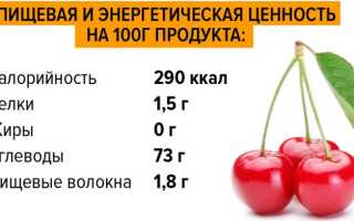 Сушёная вишня дома с косточкой и без