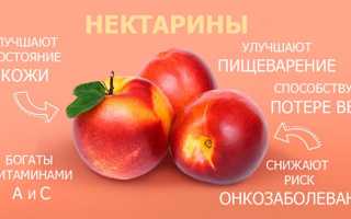 Нектарин — это гибрид чего, калорийность и польза фрукта для здоровья