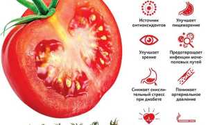 Сушёные и вяленые томаты в домашних условиях