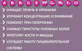 Домашние способы сушки сливы, подготовка к процедуре и правила хранения