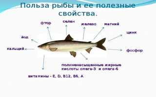 Способы приготовления вяленой плотвы дома