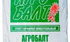Основные характеристики грунта для голубики от Агробалт для успешного роста