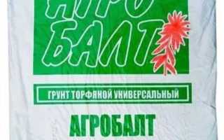 Основные характеристики грунта для голубики от Агробалт для успешного роста