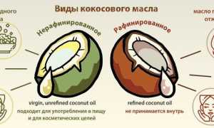 Кокосовое масло — как применять, виды и полезные свойства продукта для здоровья