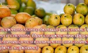 Как выбрать, есть и хранить манго правильно и вкусно