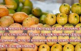 Как выбрать, есть и хранить манго правильно и вкусно