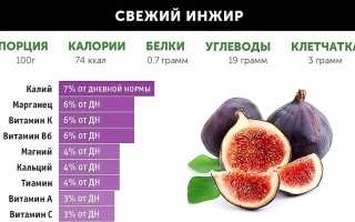 Что нужно знать о домашнем вялении инжира и правильном употреблении