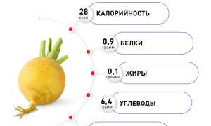 Чем полезна репа для организма человека, применение и употребление овоща в рационе