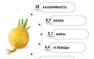 Чем полезна репа для организма человека, применение и употребление овоща в рационе