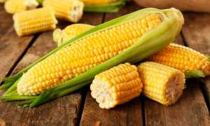 Рецепты приготовления кукурузы на гриле