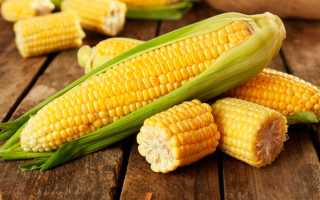 Рецепты приготовления кукурузы на гриле