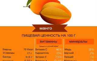 Польза и вред вяленого манго, способ приготовления