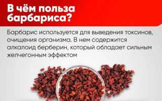 Приготовление сушёного барбариса в домашних условиях