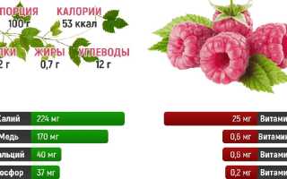 Домашние варианты сушки малины на зиму