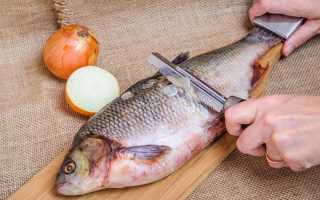 Как засолить и завялить вкусного леща дома