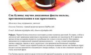 Лечебные свойства бузины черной, применение в народной медицине для здоровья