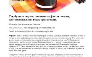 Лечебные свойства бузины черной, применение в народной медицине для здоровья
