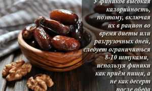 Королевские финики — полезные свойства, состав и калорийность для здоровья