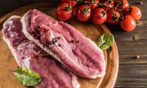 Маринование и приготовление шашлыка из домашней и дикой утки