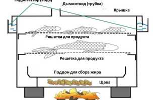 Самостоятельное изготовление коптильни для горячего копчения с гидрозатвором