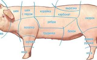 Рецепты копчения свиной рульки