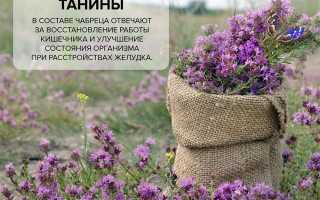 Способы сбора и сушки чабреца в домашних условиях