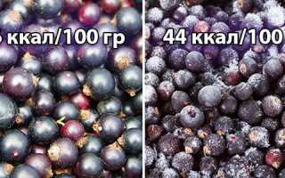 Черная смородина: полезные свойства для организма, состав и калорийность ягоды, а также рекомендации по употреблению