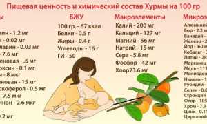 Можно ли хурму при грудном вскармливании, советы кормящей маме и рекомендации специалистов
