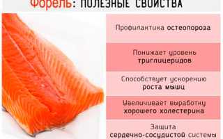 Холодный и горячий способы копчения форели