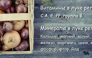 Чем полезен лук репчатый, витаминный состав и кому противопоказан лук репка для здоровья