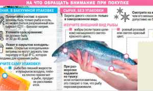 Особенности самостоятельного копчения горбуши в домашних условиях