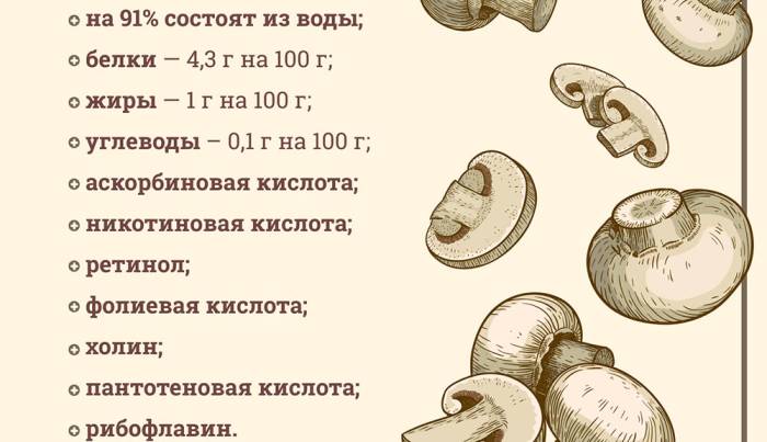 Химический состав шампиньонов